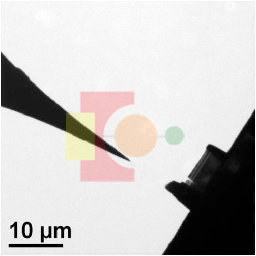 insitu01.jpg