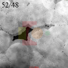 5248.gif