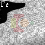 ADF_Fe.gif